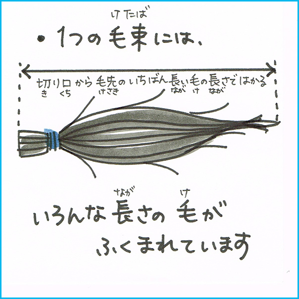 髪の毛を送る Japan Hair Donation Charity ジャーダック Jhd C