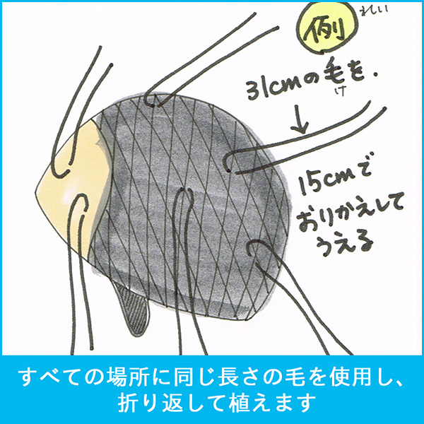 髪の毛を送る Japan Hair Donation Charity ジャーダック Jhd C