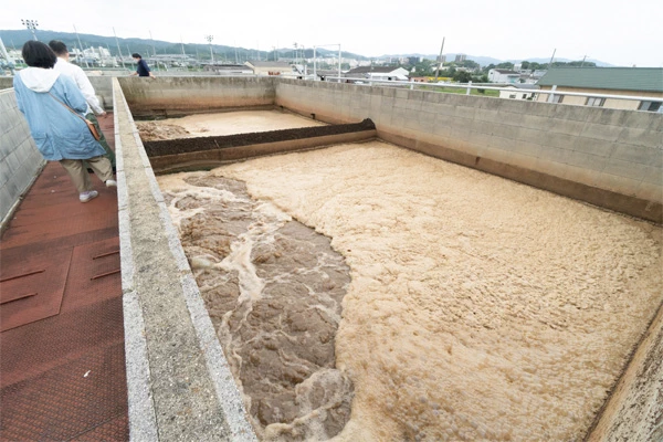 バクテリアの力で浄水